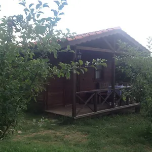 Salkim Ve Agac Evler Konukevi Selçuk